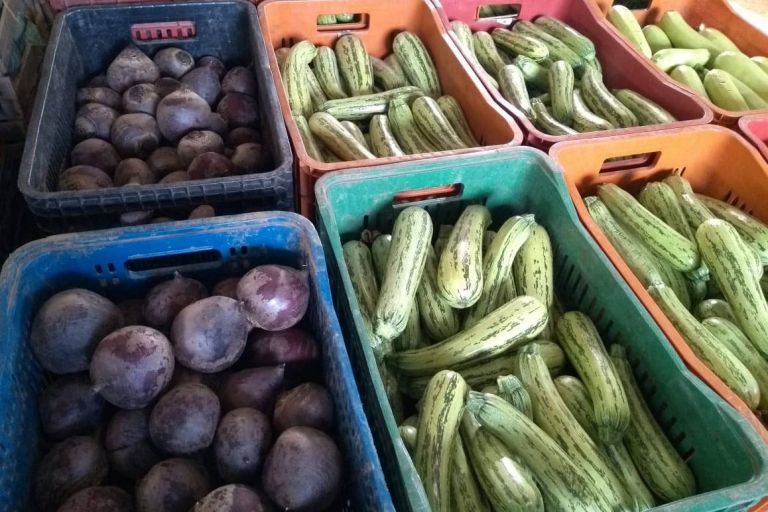 Em um ano, cooperativas familiares movimentam R$ 3 milhões na Ceasa de Curitiba