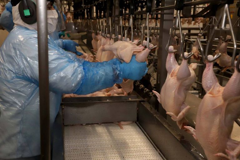 ABPA vê preocupação com exportações de carnes suína e de frango para a Rússia