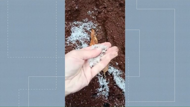 Chuva congelada com flocos de neve é registrada no Sudoeste do Paraná, diz meteorologista