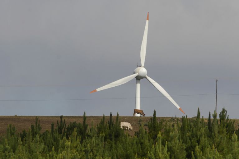 Estudo da OCDE mostra Paraná como exemplo mundial em desenvolvimento sustentável
