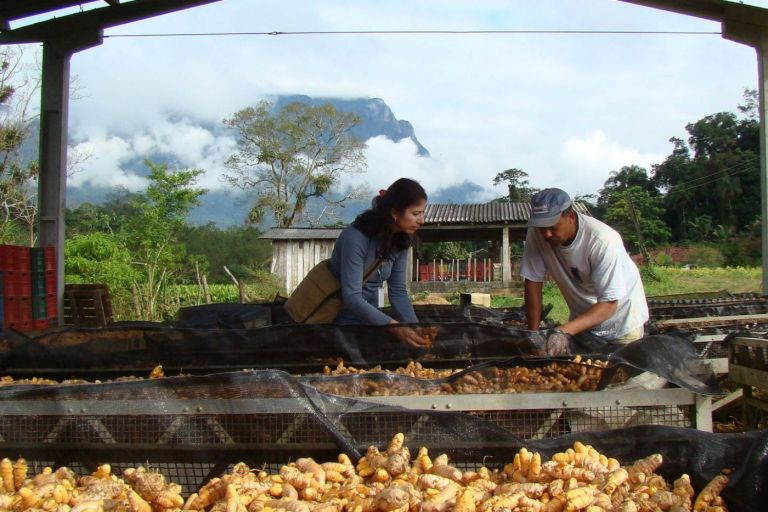 Pesquisa ajuda o Paraná a ser referência nacional no agronegócio