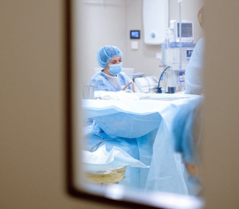 46% dos municípios do Paraná não registram óbitos por Covid-19 há pelo menos 30 dias