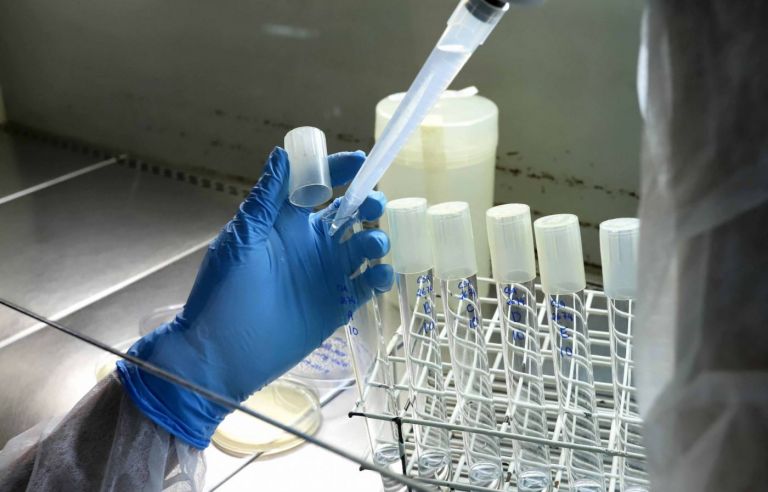 CNPq começa a pagar bolsas de Iniciação Científica Jr