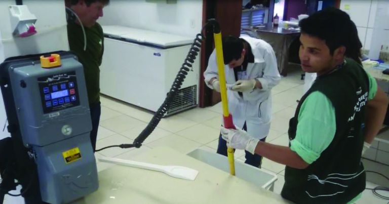 Estudo inédito propõe protocolo para abate humanitário de peixes