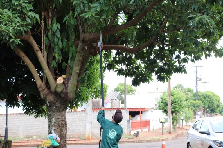 1,8 mil árvores vão receber poda de manutenção na região central de Marechal Rondon