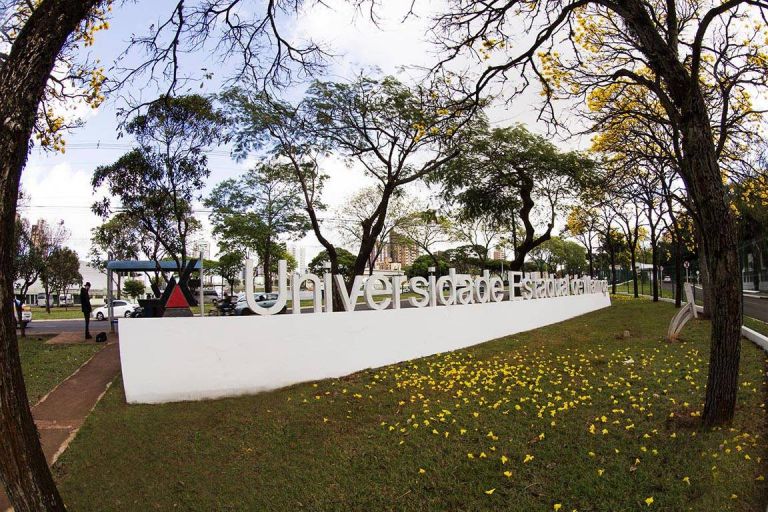 Quer trabalhar com ensino superior? UEM, UEL e UENP estão com vagas abertas