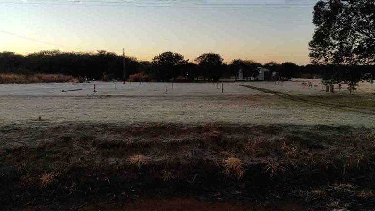 Cidade do Mato Grosso do Sul registra -1,6ºC e até “geada negra”