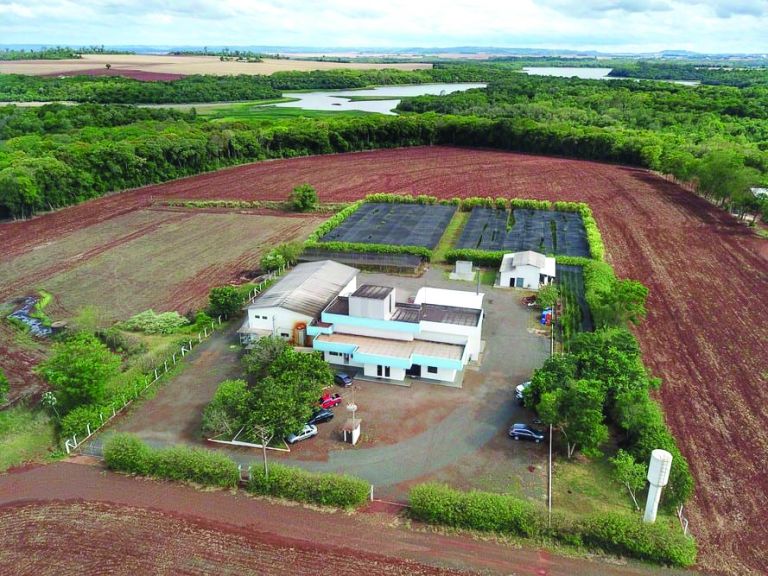 Comercializado nos EUA, extrato produzido em Pato Bragado deve ganhar mercado europeu