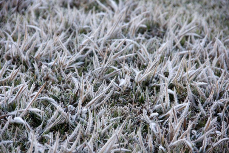 Onda de frio pode provocar geada até em áreas do Norte do Brasil
