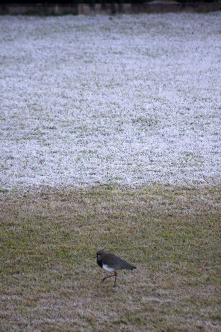 Como vai ser o clima em abril no Sul do país