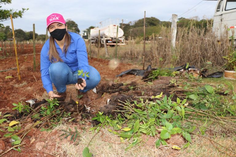 Mil mudas de espécies nativas são plantadas em Pato Bragado