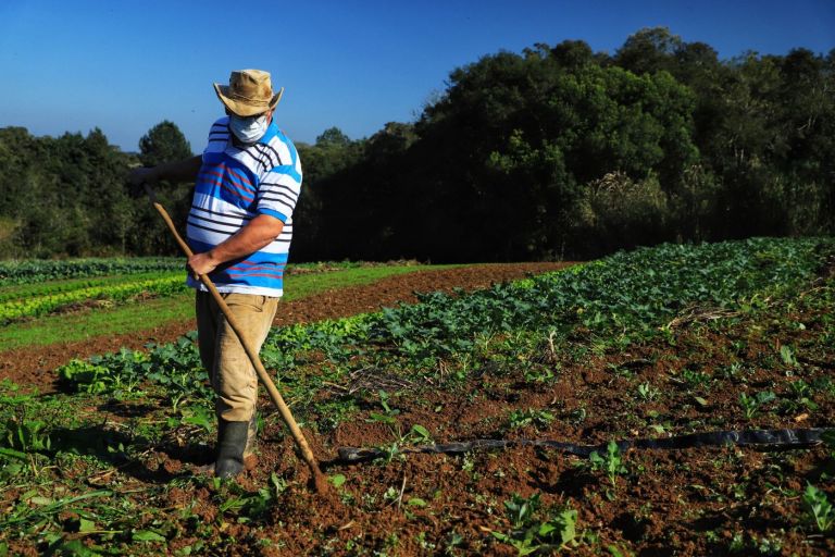 Agricultores têm perfil personalizado na plataforma Gov.br