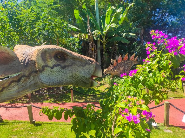 Dreams Park Show termina semestre com 212 mil visitas