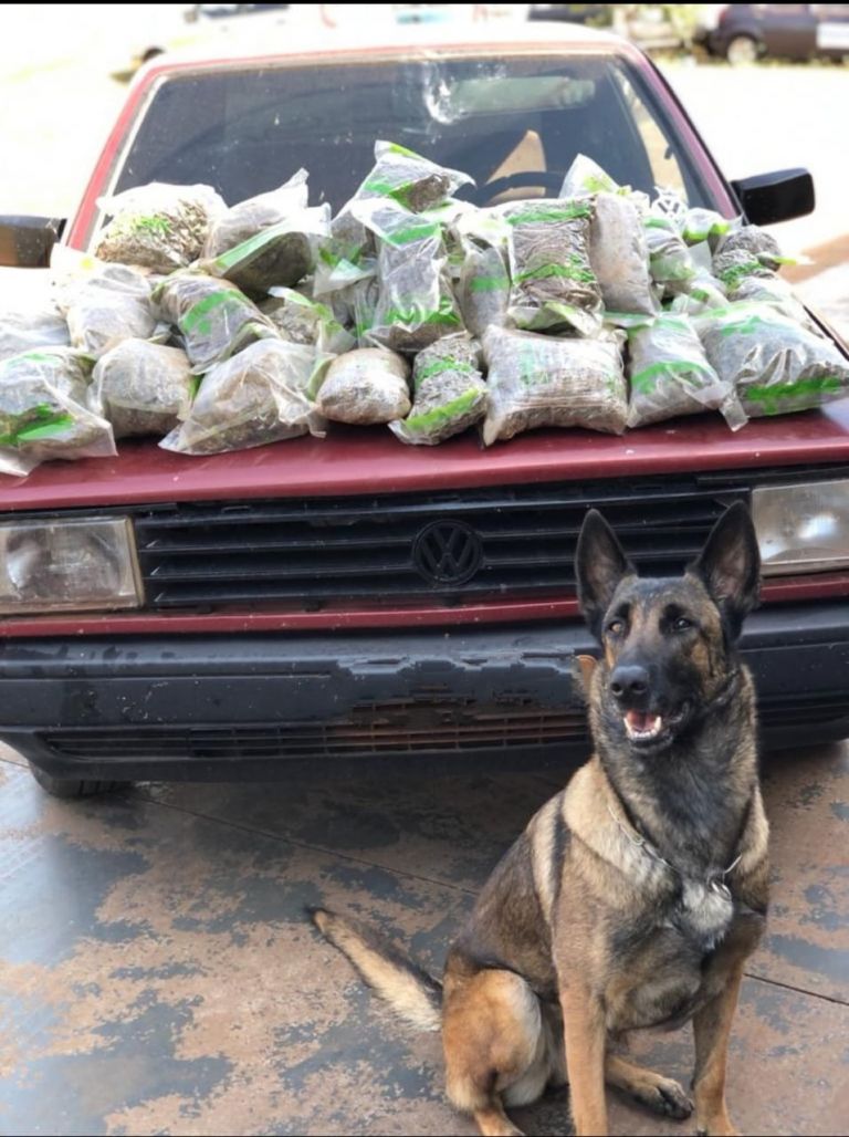 BPFron apreende 20 quilos de maconha em Santa Helena nesta manhã