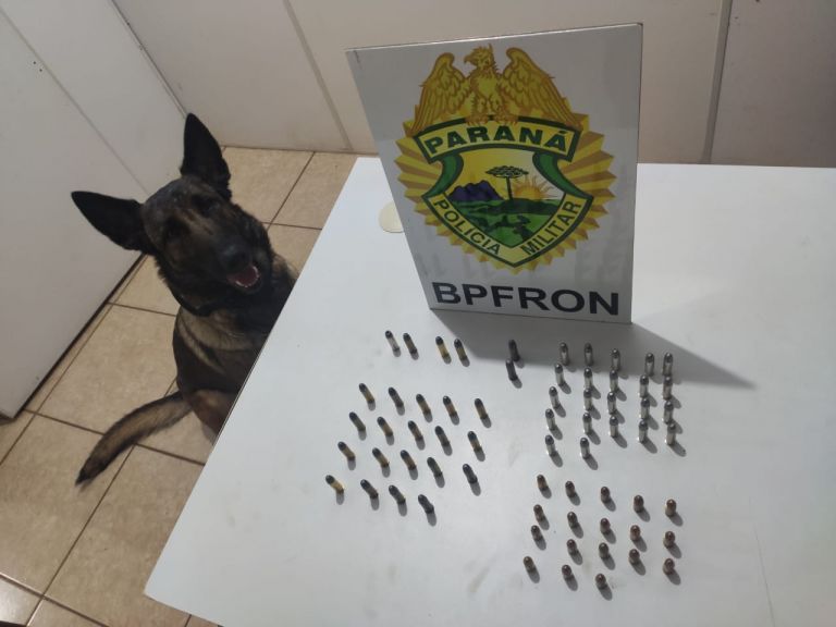 Homem é detido com grande quantidade de munições próximo à Praça Willy Barth