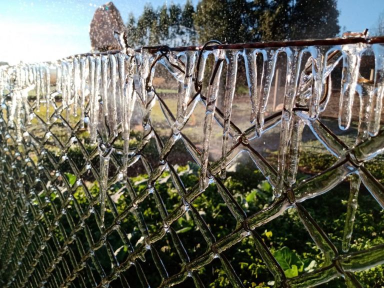 Quando o frio vai dar trégua?