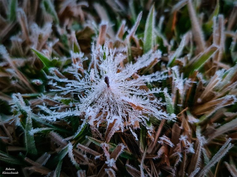 Simepar alerta para risco de geada a partir do fim de semana