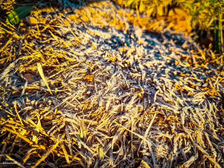 Simepar encerra Alerta Geada em 2023