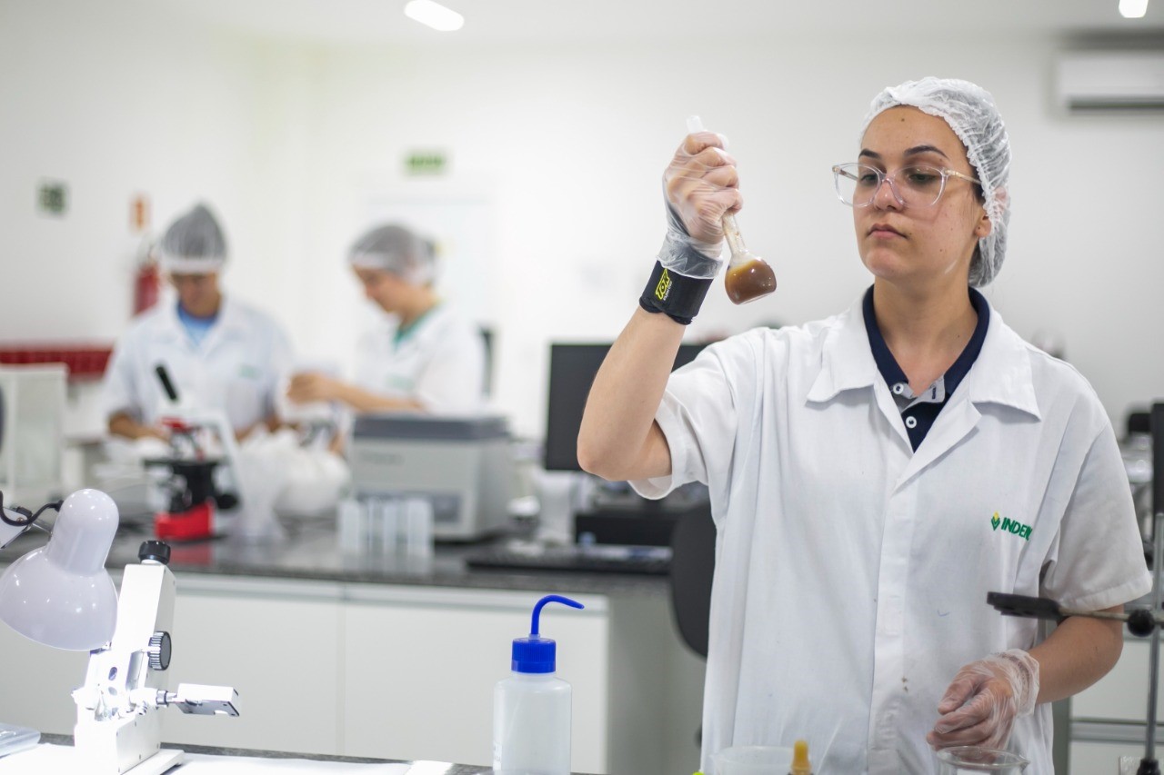 O papel da mulher na implantação de processos de inovação tem sido fundamental dentro das empresas.