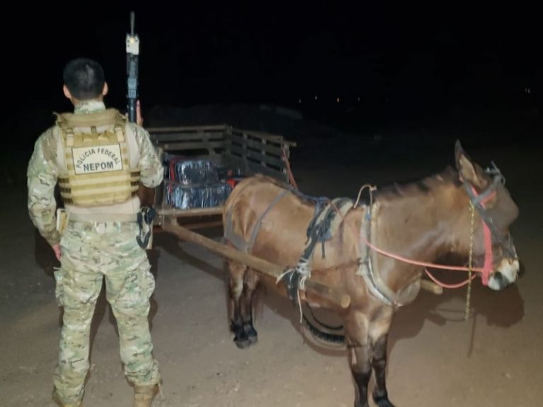 Burro puxando carroça carregada de maconha é apreendido em Guaíra