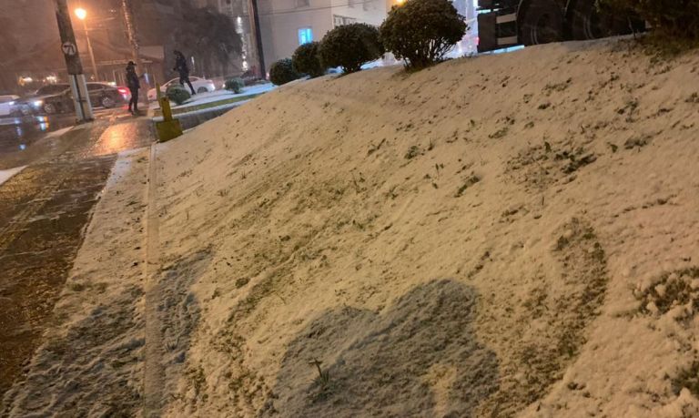 Neve é registrada ao menos em 13 cidades do Rio Grande do Sul; veja fotos e vídeos