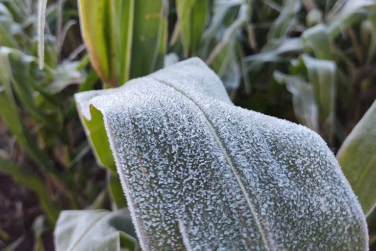 Veja o que esperar do clima em maio