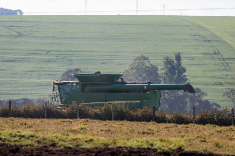 BRDE repassa R$ 525 milhões em créditos na atual safra e projeta R$ 600 milhões para 2021/22