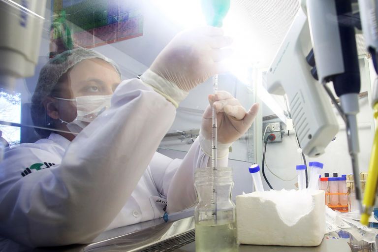 Governo do Estado lança Programa de Pesquisa Básica e Aplicada 2021