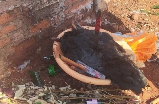 Cemitério no interior de Missal é mais uma vez local de ritual com animais