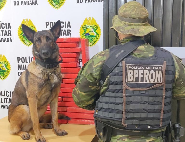 BPFron apreende 26 quilos de drogas com passageiro de ônibus em Cascavel