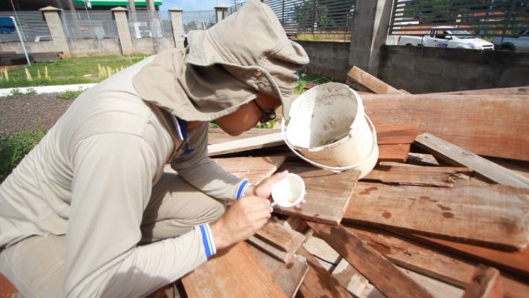 Número de casos confirmados da dengue no Paraná chega a 193, aponta boletim