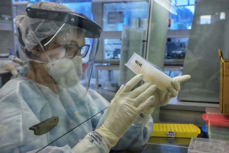 Pesquisa mapeia entrada e disseminação da variante delta no Brasil