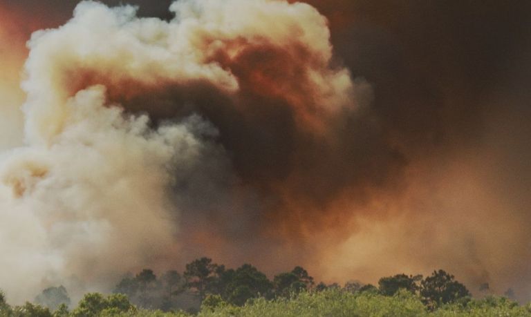Festival de Curtas tem edição on-line com apresentação de 200 filmes