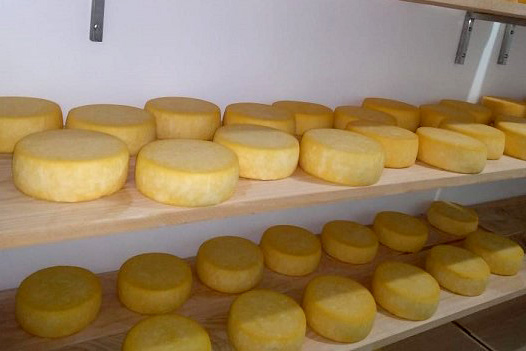 Casal descobre vocação na agroindústria com assistência técnica do IDR-Paraná