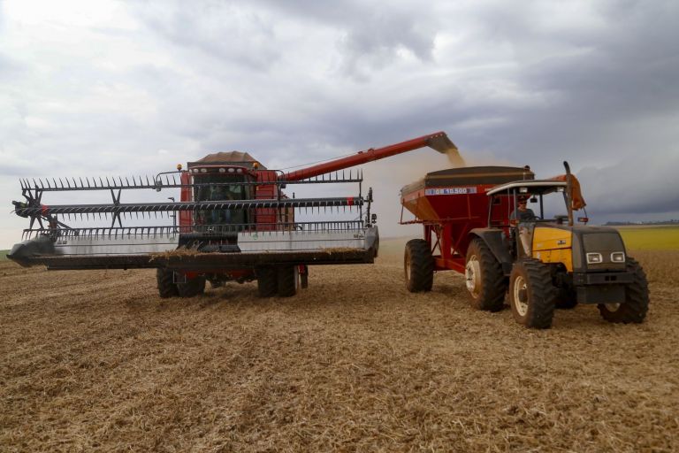 Safra de grãos de verão 2021/22 deve ter crescimento de 9% no Paraná