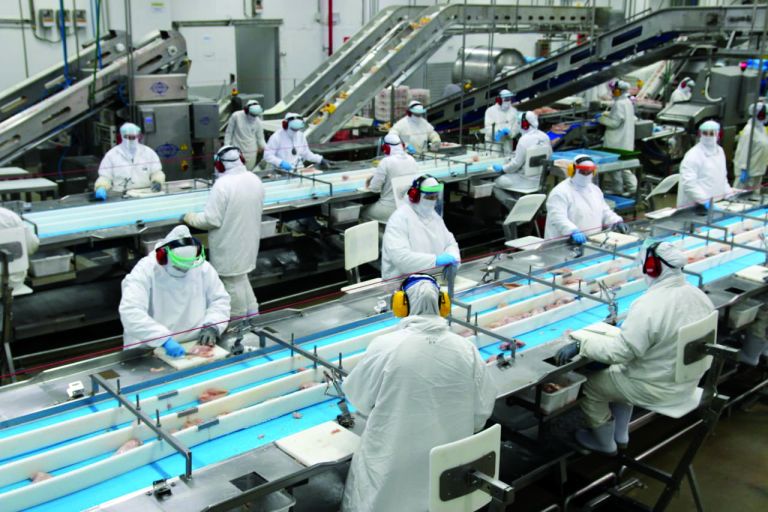 Número de empregos gerados se mantém positivo no 1º semestre em Marechal Rondon