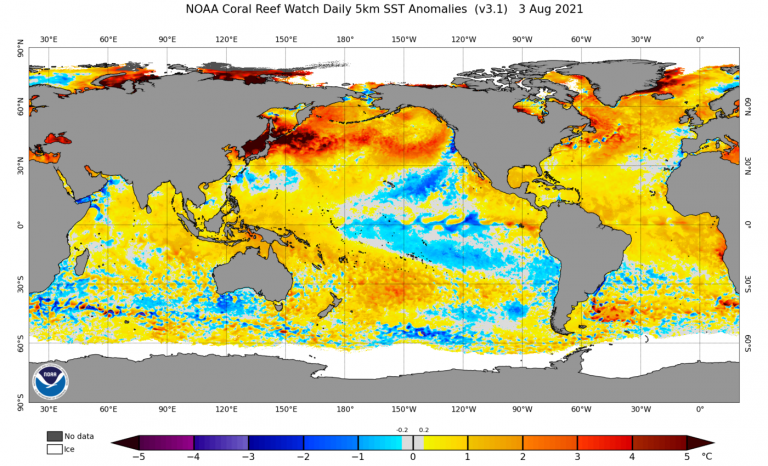 La Niña ou neutralidade fria oferecem cenário de risco