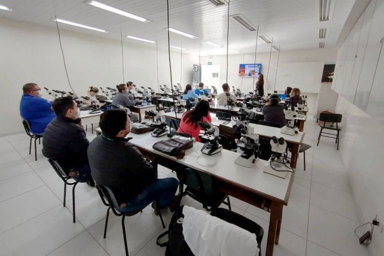 Saúde promove capacitação para identificação do inseto vetor da doença de Chagas