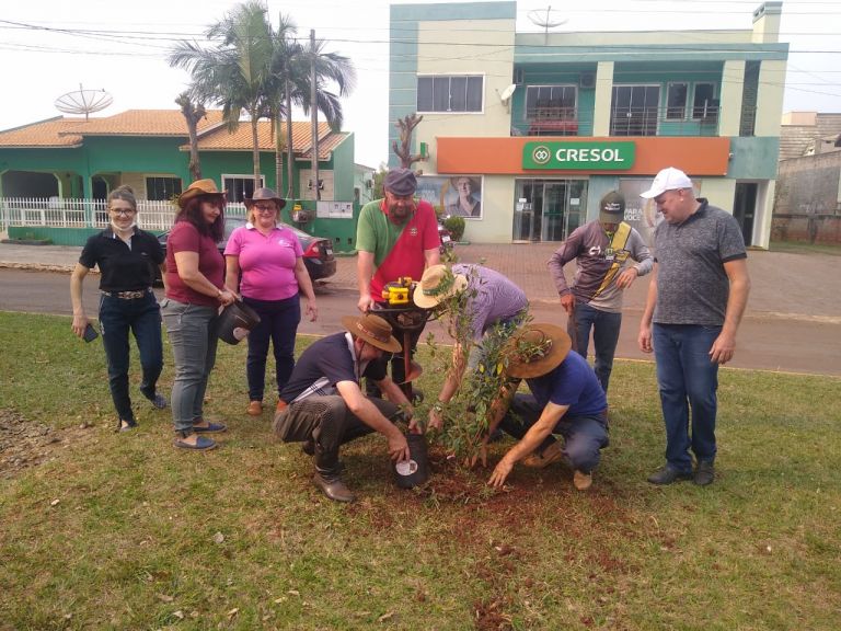CTG Tradição Cultural faz plantio de árvores na avenida de Porto Mendes
