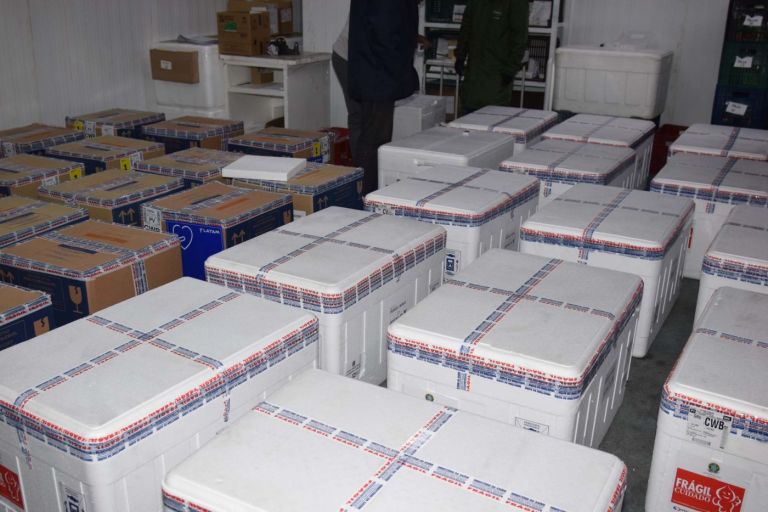 Estado distribui 445.388 vacinas contra a Covid-19 e 49.750 medicamentos para intubação; veja divisão