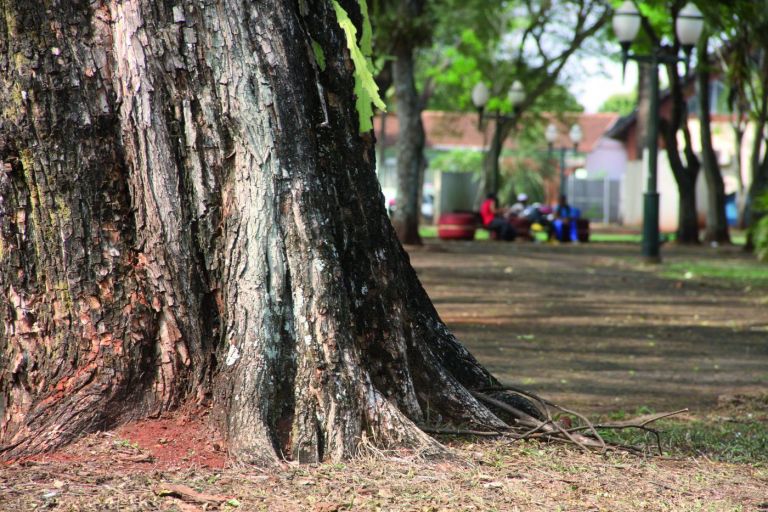 Cresce número de moradores de rua em Marechal Rondon