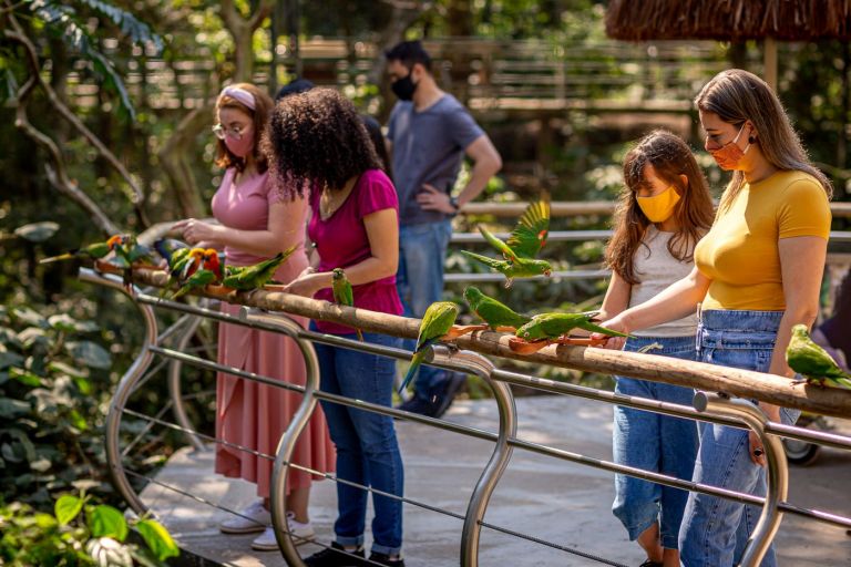 Em Foz do Iguaçu, Parque das Aves espera receber 9 mil turistas no feriadão da Independência