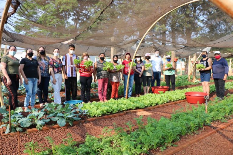 Famílias fazem primeira colheita do projeto Horta Solidária em Maripá