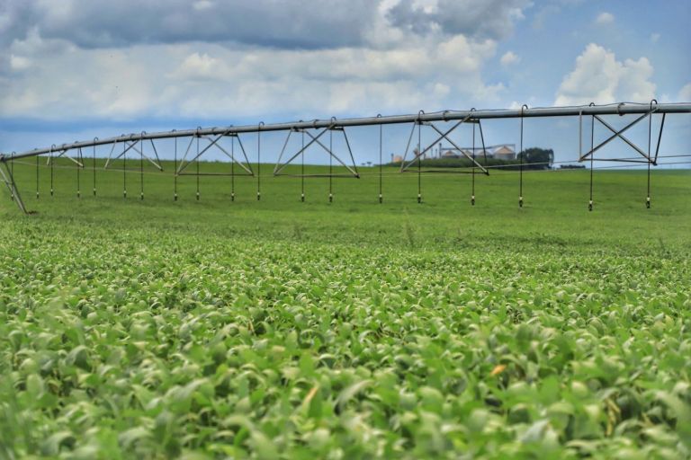 Plano Safra nacional terá R$ 475,5 bilhões; agricultura familiar fica com R$ 76 bilhões