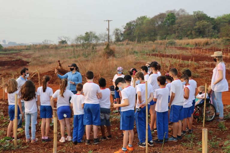Com plantio de 100 mudas de espécies nativas, Pato Bragado dá continuidade à Semana da Árvore