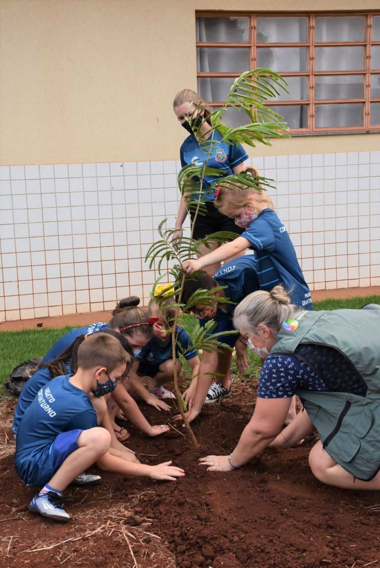 Dia da Árvore tem ações de plantio, repasse de mudas e doação de sementes de flores e hortaliças em Quatro Pontes