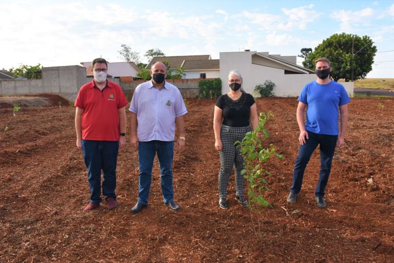 Pomar comunitário de Quatro Pontes começa ganhar vida
