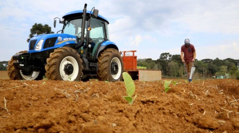 Saiba qual é a cidade que tem o maior PIB do agronegócio do Brasil