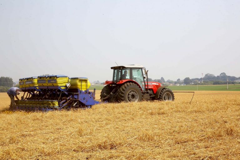 Áreas produtoras do Sul receberão chuva até o final do ano? Meteorologista responde