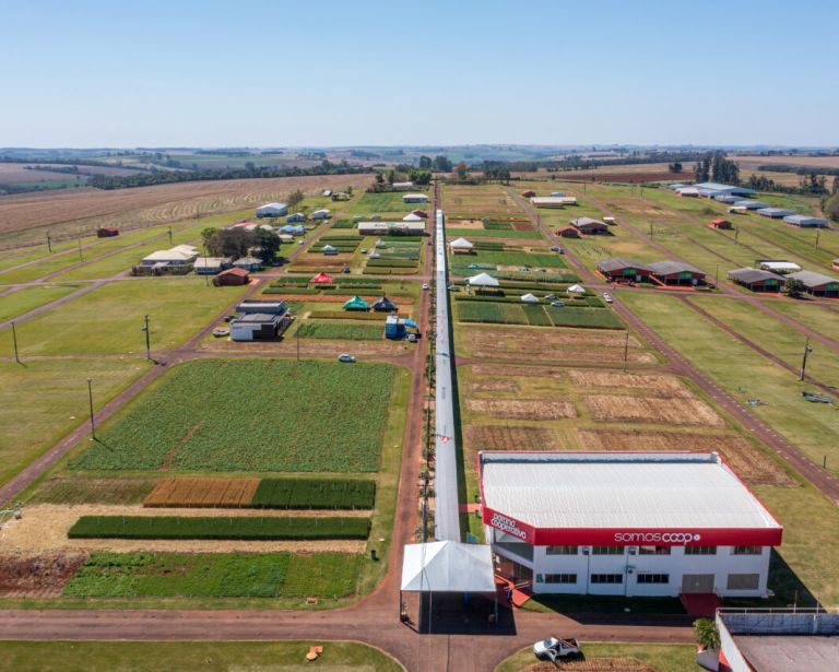 Show Rural de Inverno mostra trigo com produtividade de 6 mil quilos/ha